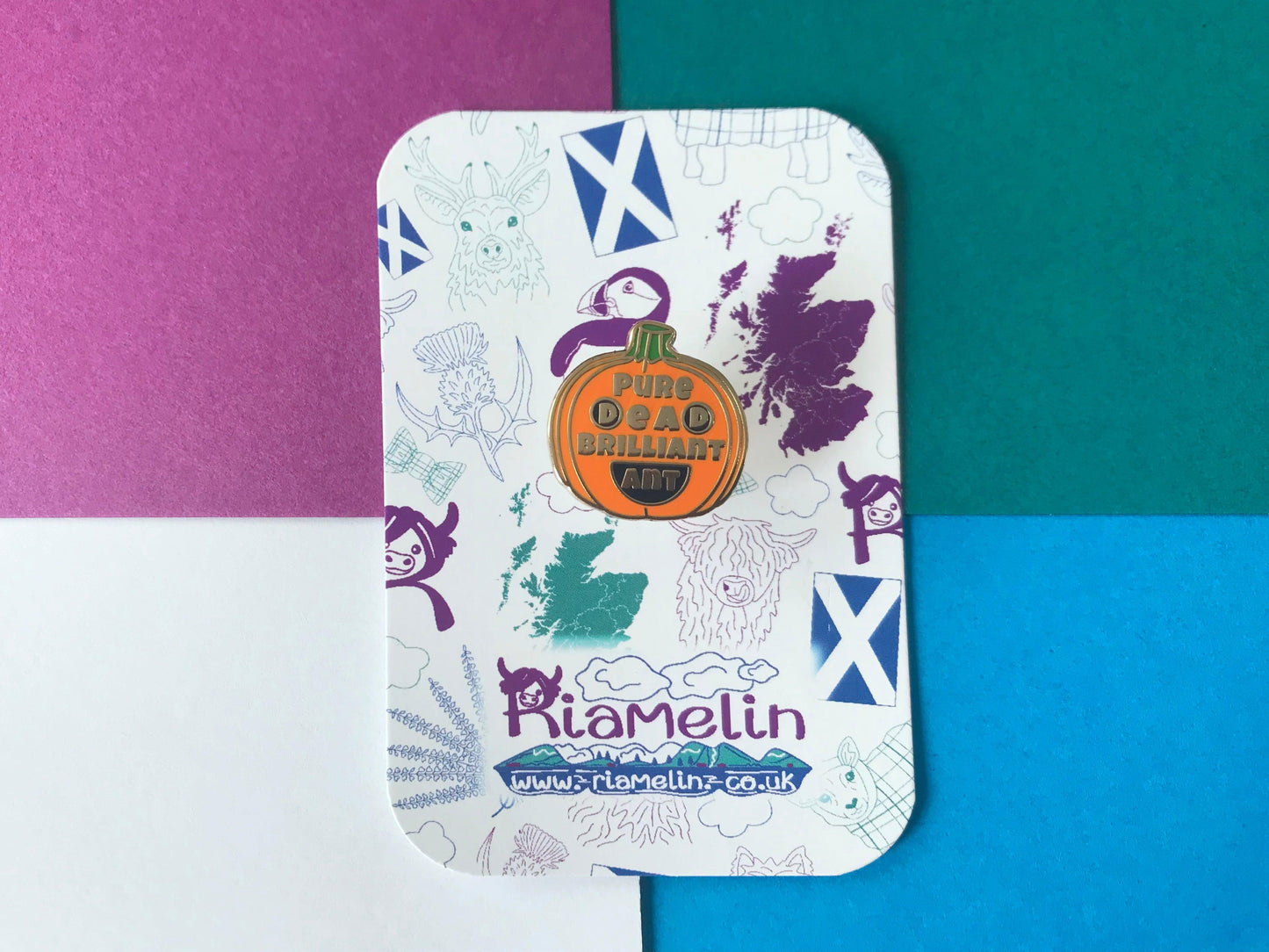 Pure Dead Brilliant Pumpkin Pin, Scottish humour, Cute Autumn Fall Lapel Badge