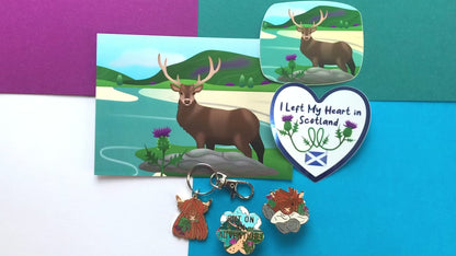 Scottish Thistle Gift Set - Pins, Keyring, Stickers, Postcard and Pen!